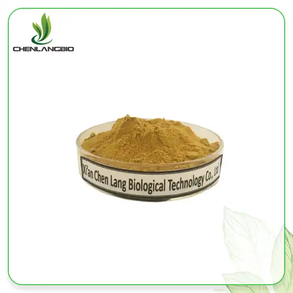 Angelica Root Extract Angelica Root Extract